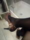 Private Photo of Arianna-87