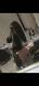 Private Photo of Lola_Lolita